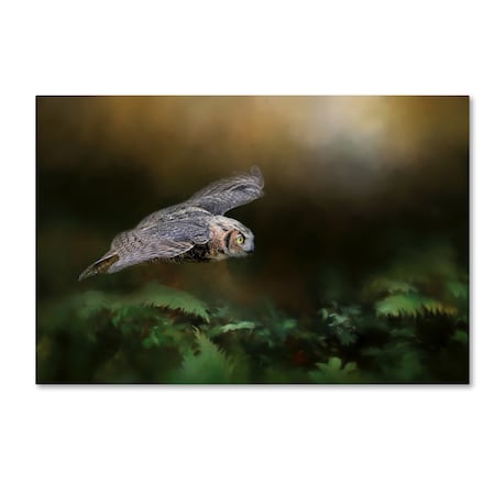 Jai Johnson 'A Night With The Great Horned Owl 1' Canvas Art,12x19